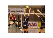 Volleyball Bundesliga: Das Aufbäumen kam zu spät