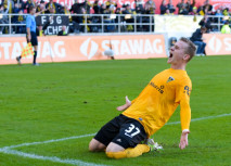 Balsam für die Wunden der Alemannen