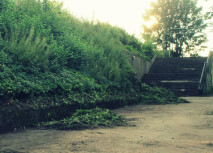 ATSV unterstützt Bestrebungen zum Erhalt des Würselener Walls