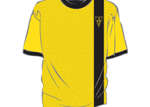 Sondertrikot heute noch bestellen