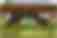 Alemannia Aachen 2024/2025