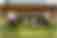 Alemannia Aachen 2024/2025