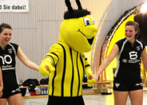 Aleminis zum entscheidenden Spiel der &quot;Ladies in Black&quot;