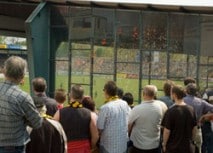 Unser Stadion am Spieltag: exklusiver Blick hinter die Kulissen