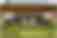 Alemannia Aachen 2024/2025