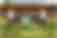 Alemannia Aachen 2024/2025