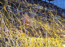 Fans starten riesige Choreo