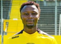 Sichone und Ibisevic spielen international