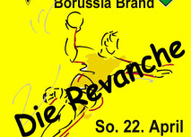 Handballer sichern Aufstieg