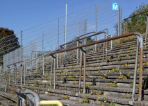 Samstag: Alemannia-Auktion ab 16.30 Uhr