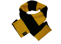 Fanartikel des Tages