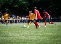 Faninfos zum Testspiel bei Rot-Weiß Erfurt
