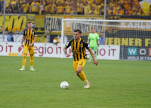 Sehnenteilriss bei Baum 