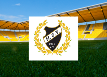 Hoengener SV wird wieder Business Partner