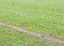 Spiel gegen Viktoria Köln abgesagt