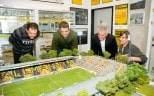 Mini-Tivoli: Ein Modell, das stetig wächst