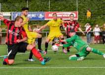 Ein halbes Dutzend zum Auftakt