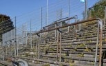 Samstag: Alemannia-Auktion ab 16.30 Uhr