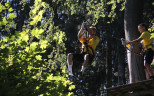 Teambuilding im Kletterwald