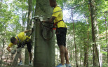 Teambuilding im Kletterwald