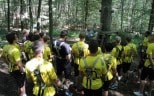 Teambuilding im Kletterwald