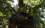 Teambuilding im Kletterwald