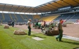 Tivoli erhält neues Grün