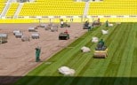 Tivoli erhält neues Grün