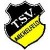 Vereinswappen TSV Michelfeld