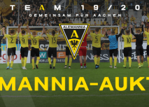 Aktive Ex-Alemannen-Trikot-Auktion