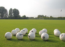 Sommerfahrplan der Alemannia