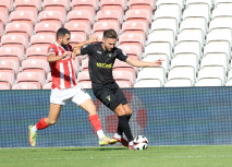 Heimstärke und Effizienz – der FC Energie Cottbus 