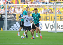 Danke, Danke ans DFB-Team!