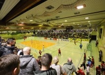 Faninfos zum Sparkassen-Hallencup