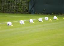 Der Stand der Dinge vor dem Trainingsauftakt